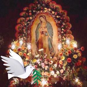 Meet your Posher, Martina